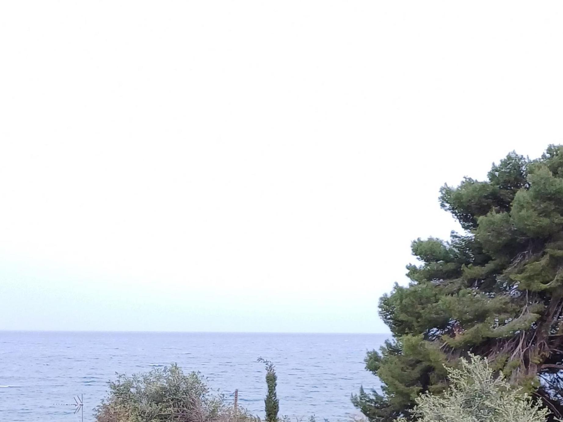 Flora Studios Corfu - Adults Only Benitses (Corfu) Quarto foto